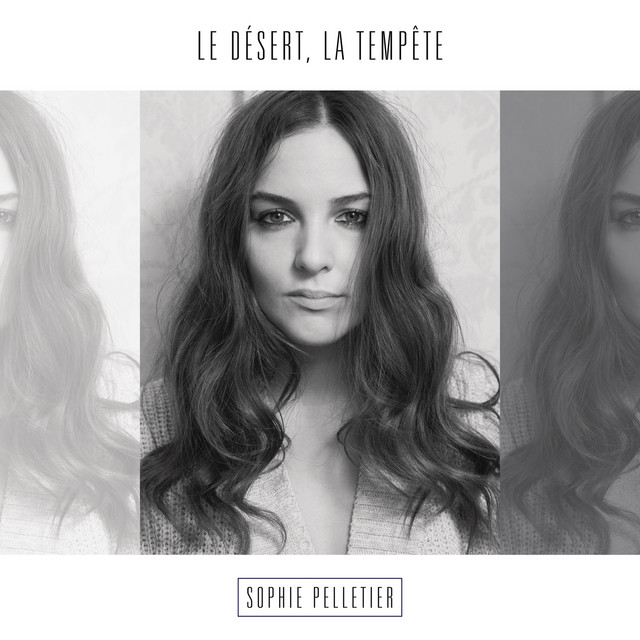 Le désert, la tempête cover art