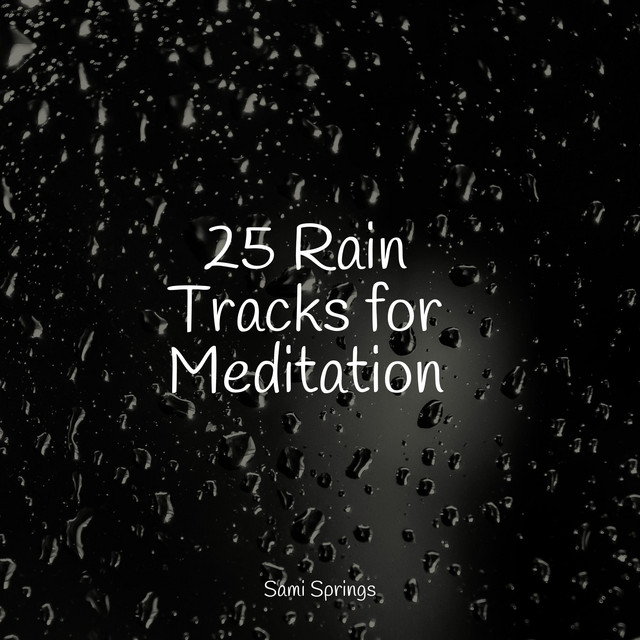 25 Rain Tracks for Meditation - Album by Academia de Música para ...