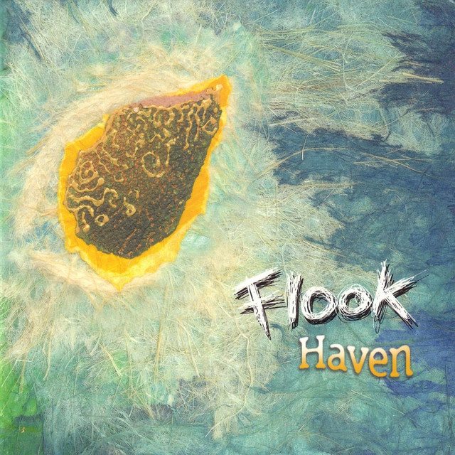 Haven cover art