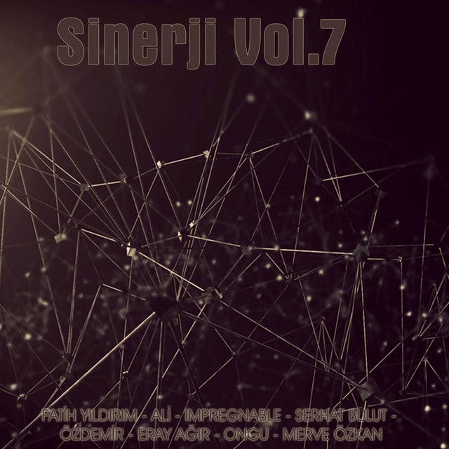 Sinerji, Vol.7 cover