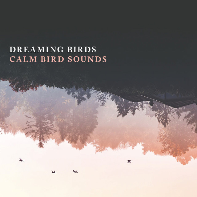 Dreaming Birds - Album by Calm Bird Sounds | Spotify