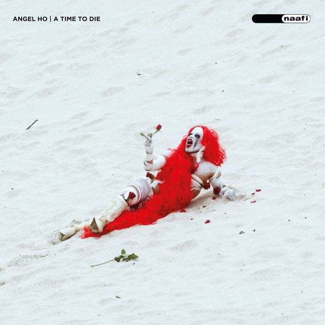 A Time to Die cover art