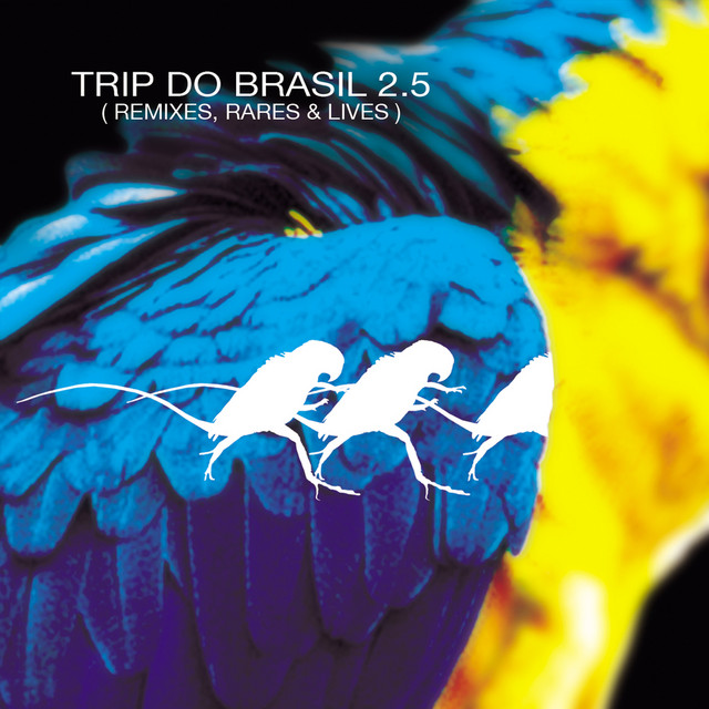 Trip Do Brasil 2.5 - Remixes, Rares & Lives cover art