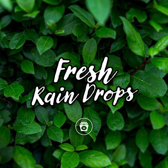 Fresh Rain Drops cover art
