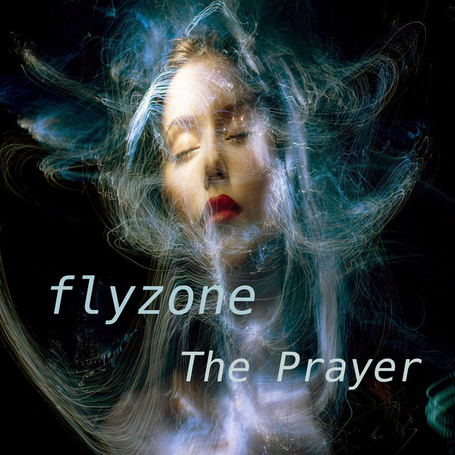 Flyzone