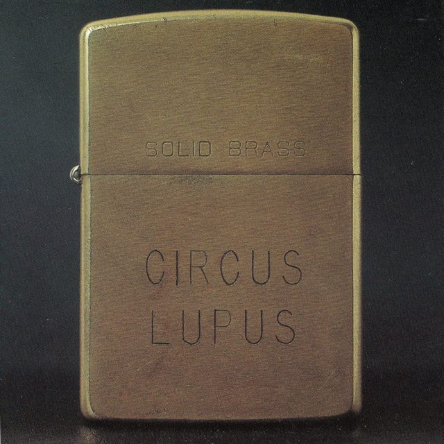 Solid Brass cover art