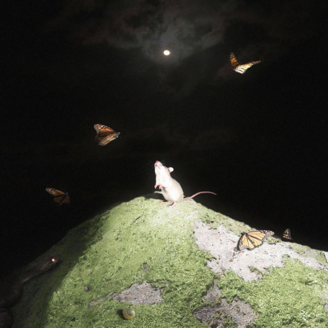 YeahAlright! cover art