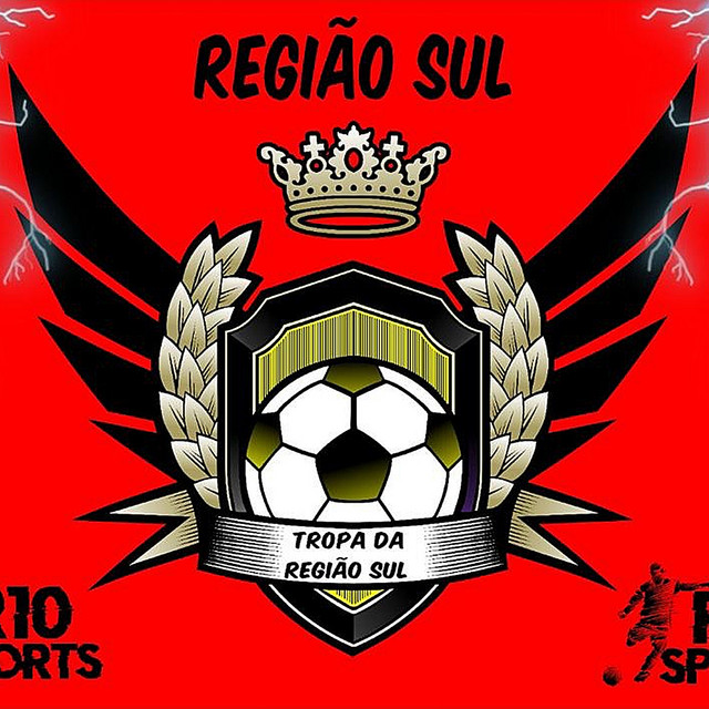 Tropa da Região Sul
