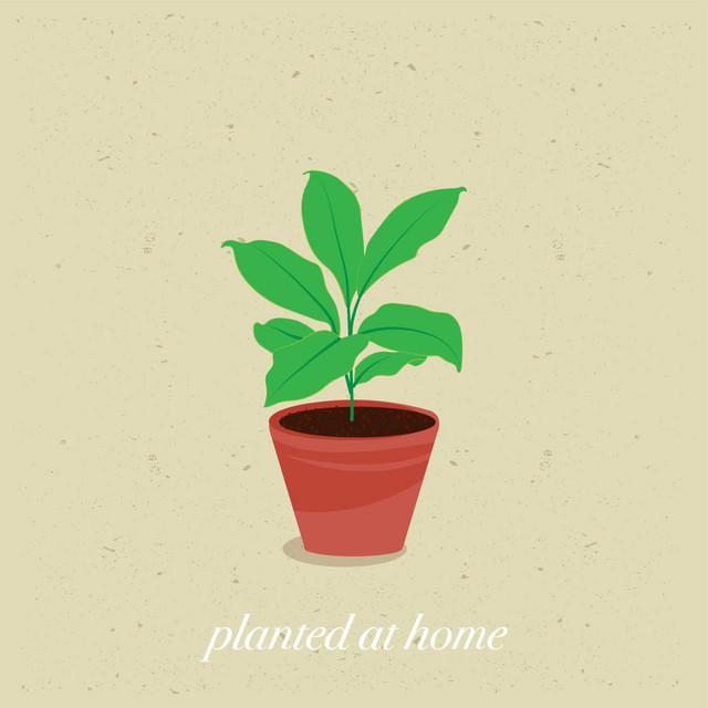 Planted at Home cover art