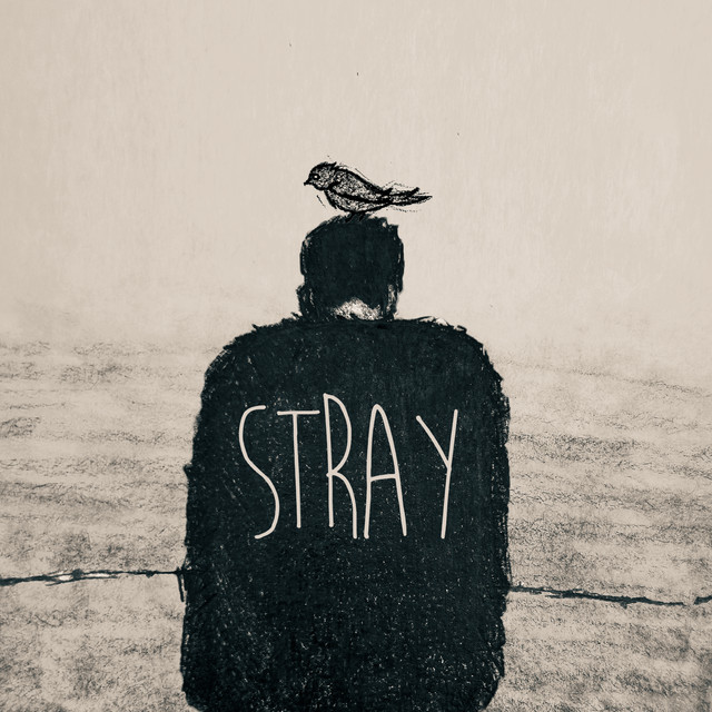 Stray