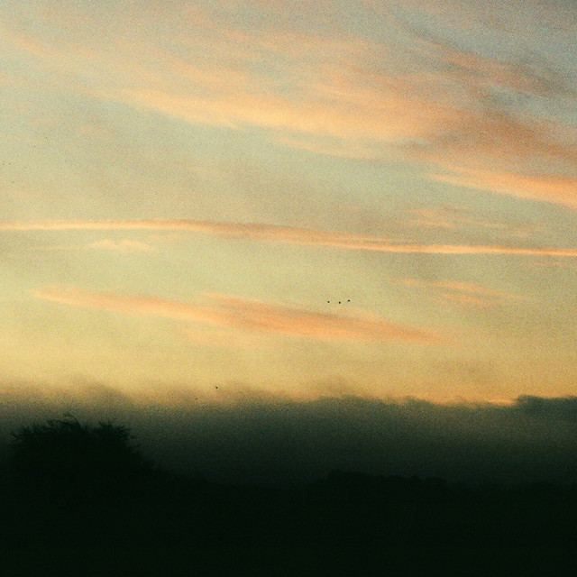 Lofi Morning cover art
