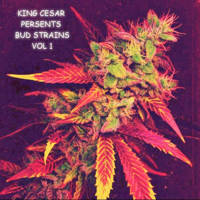 Bud Strains, Vol. 1 (LP) cover art