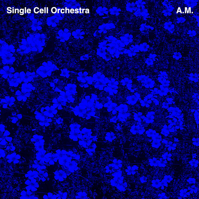 A.M. cover art