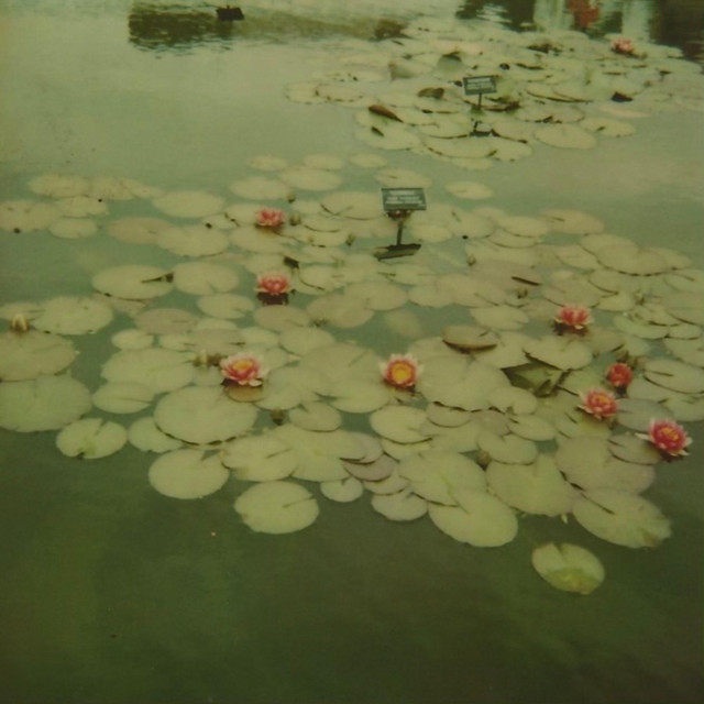 Sometimes cover art