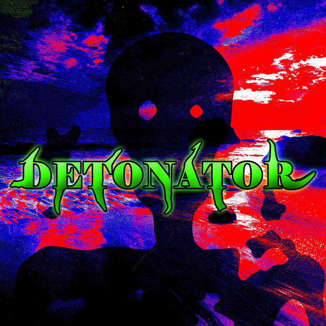 Detonator cover
