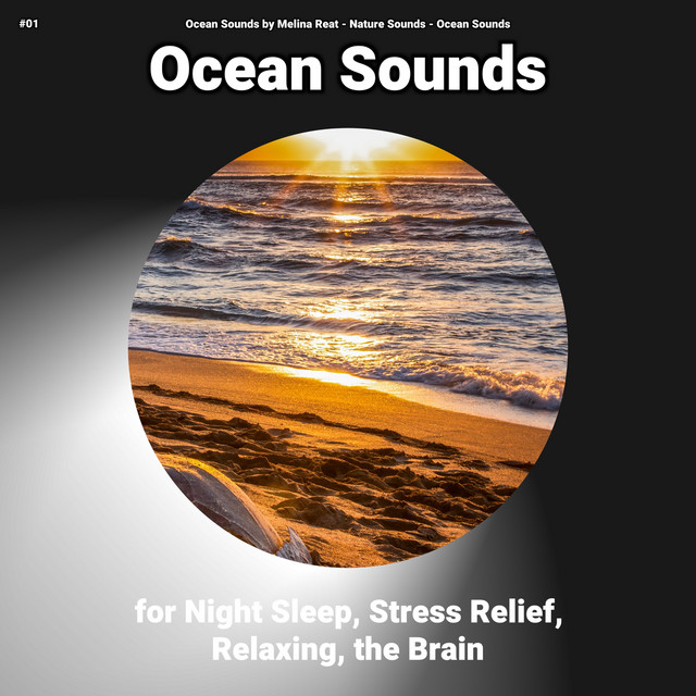 #01 Ocean Sounds for Night Sleep, Stress Relief, Relaxing, the Brain cover art