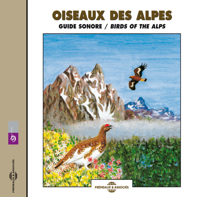 Oiseaux Des Alpes