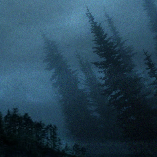Through The Pines cover art