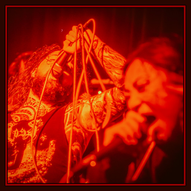 Live in Hamburg