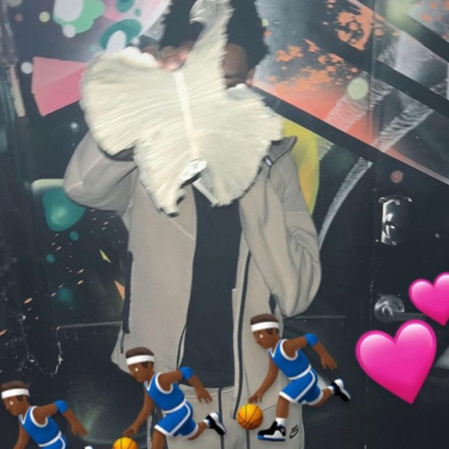 sl4 cover art