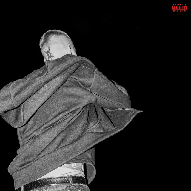 UZALEŻNIONY cover art