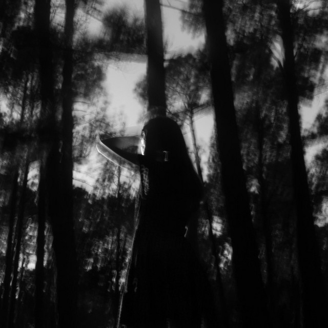 Wither cover art