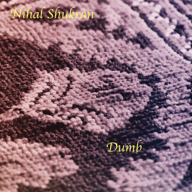 Dumb cover