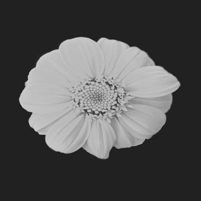 Acceptance (single)