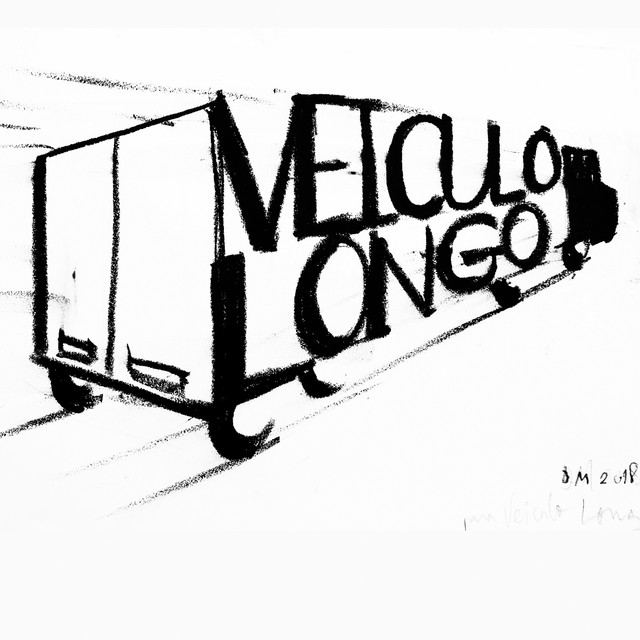 VEÍCULO LONGO