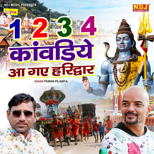 Pawan Pilaniya image