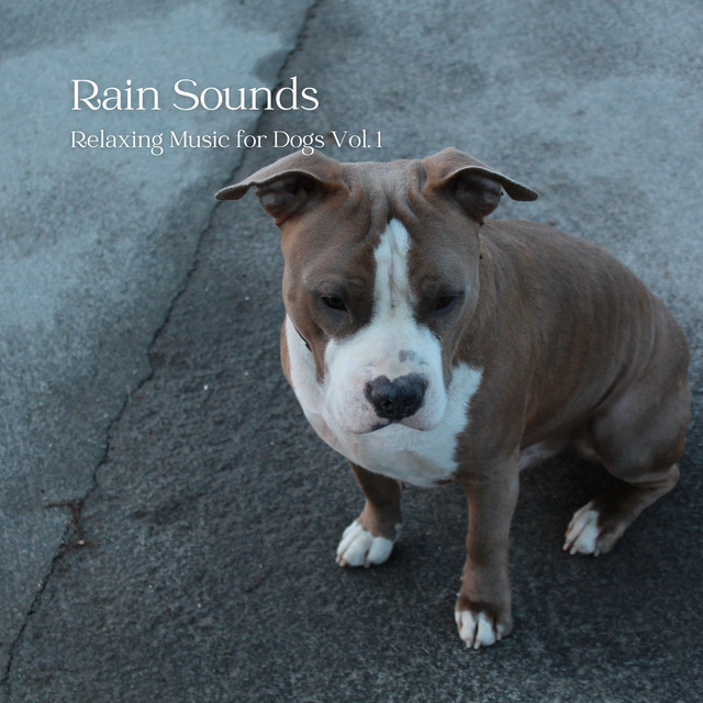 Rain Sounds: Relaxing Music for Dogs Vol. 1 cover art