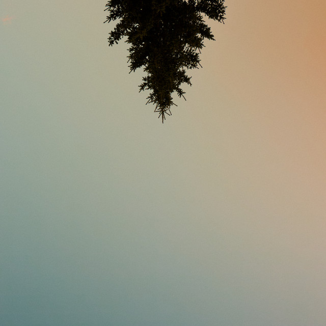 Vuori