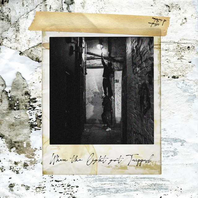 When The Light Got Tripped cover art