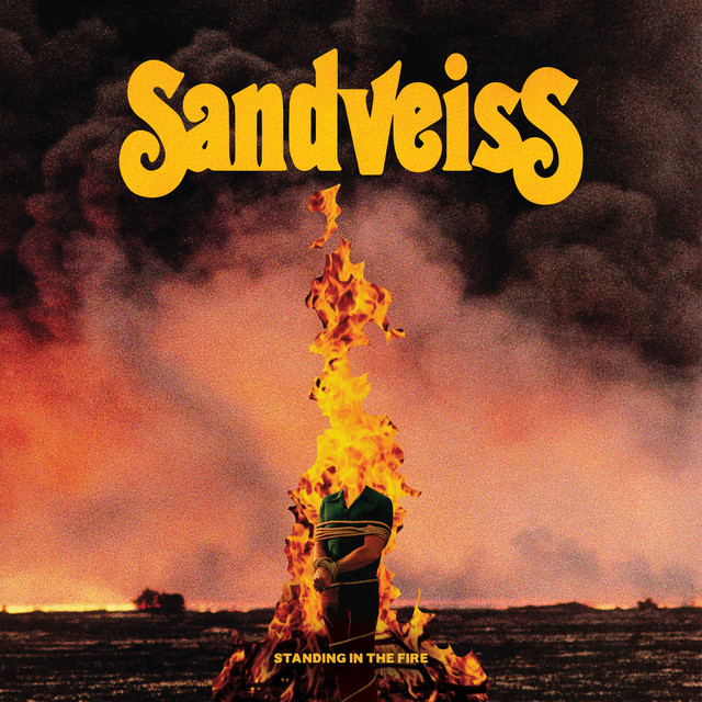 Standing In The Fire album image