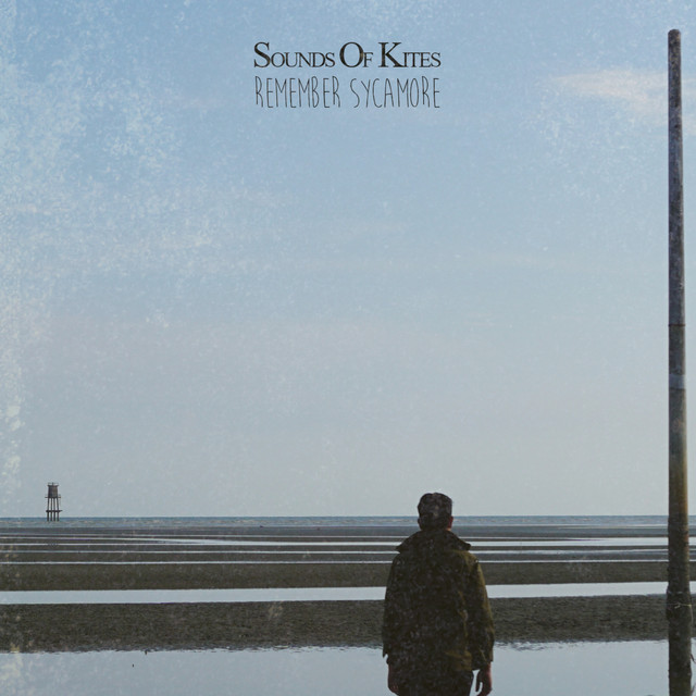 Remember Sycamore cover art