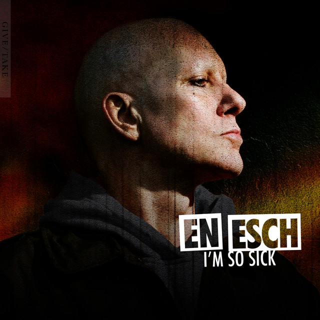 I'm So Sick cover
