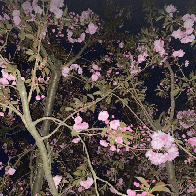about u cover art