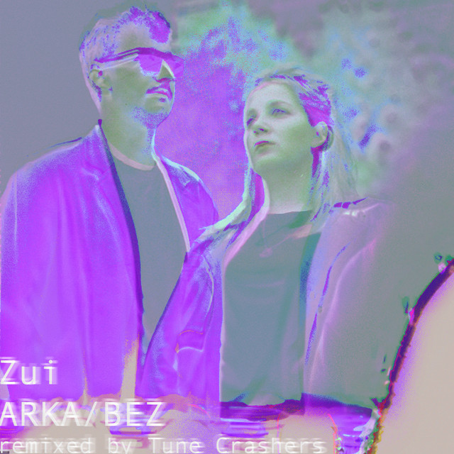 Arka/Bez (Tune Crashers Remix) cover