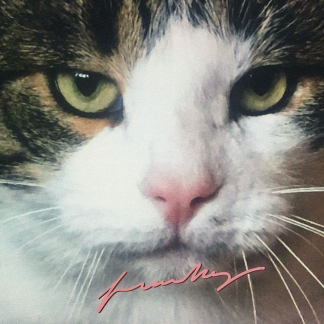 Franky cover art