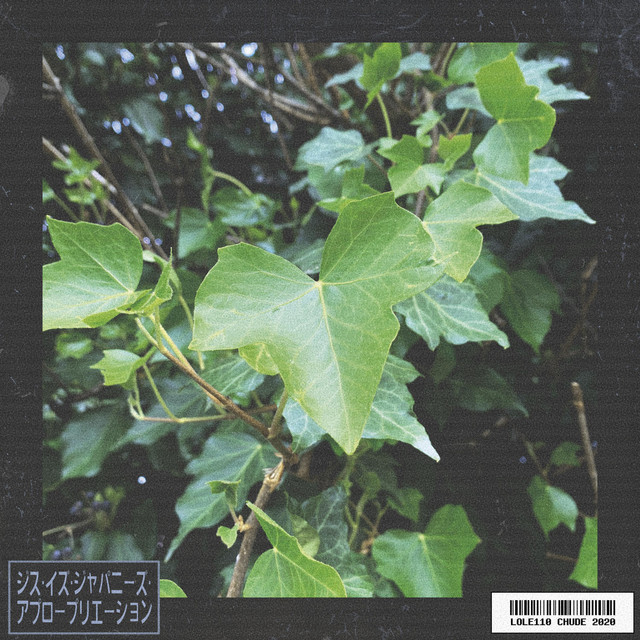 leaf cover art