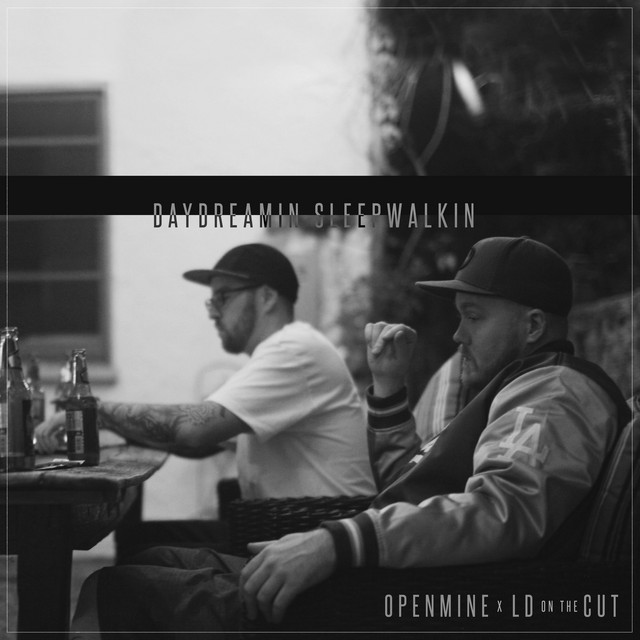 Day Dreamin' Sleep Walkin' cover art