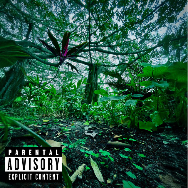pace cover art