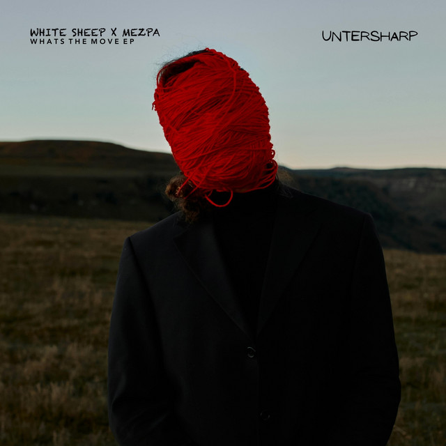 What's the Move album art