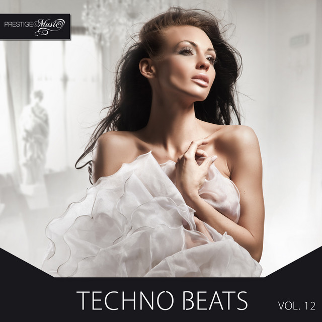 Techno Beats, Vol.12 cover