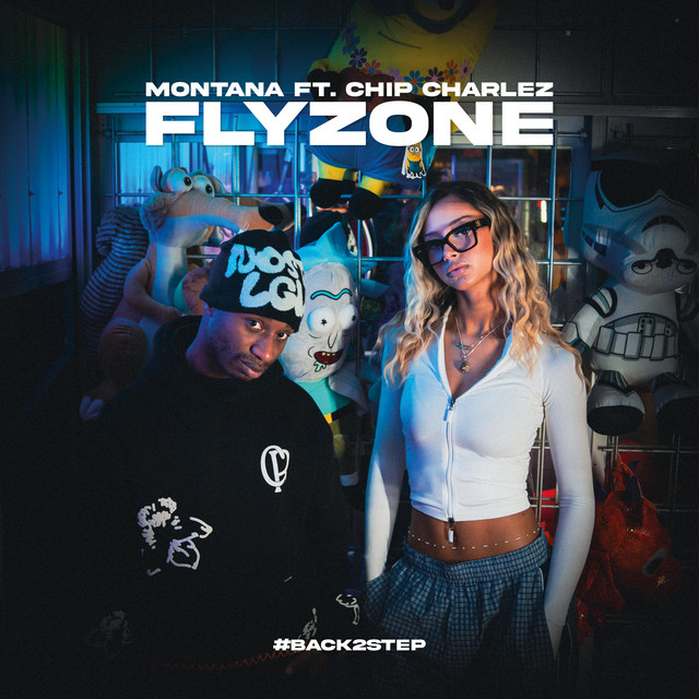 Flyzone