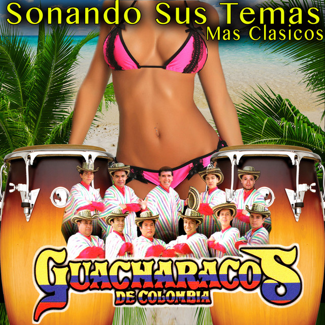 Sonando Sus Temas Clasicos cover art