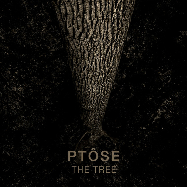 The Tree (2021 Remastered Version) cover