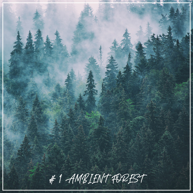 1 Ambient Forest - Album by Forest Sounds | Spotify