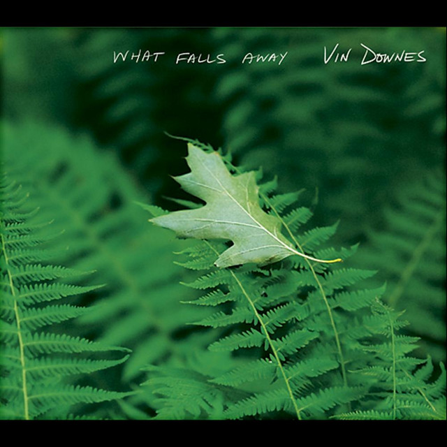 What Falls Away cover art