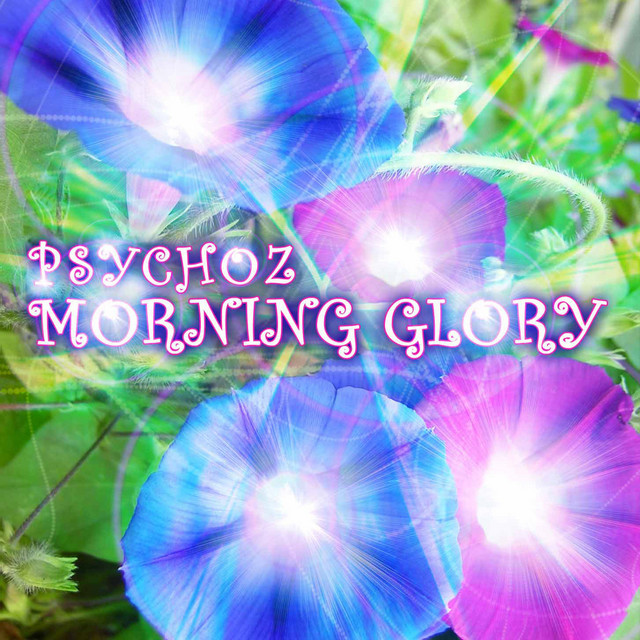 Morning Glory cover art